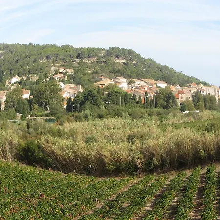 D'hôtes Le Laurier Blanc